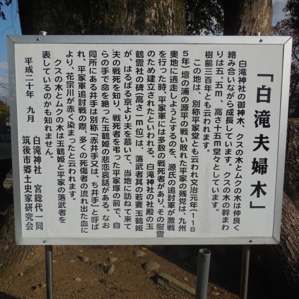 白瀧神社