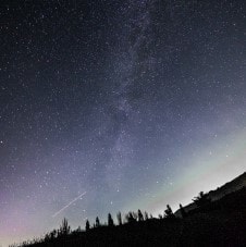 ニコニコグループ観光画像