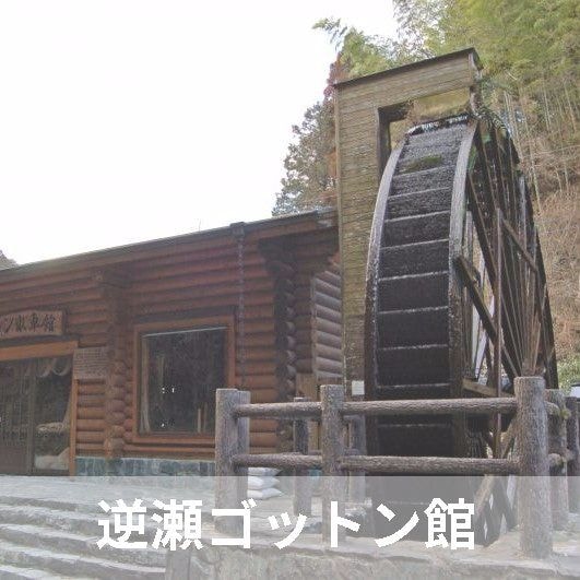 ニコニコグループ観光画像