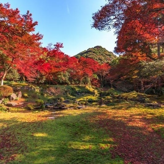 ニコニコグループ観光画像清水寺
