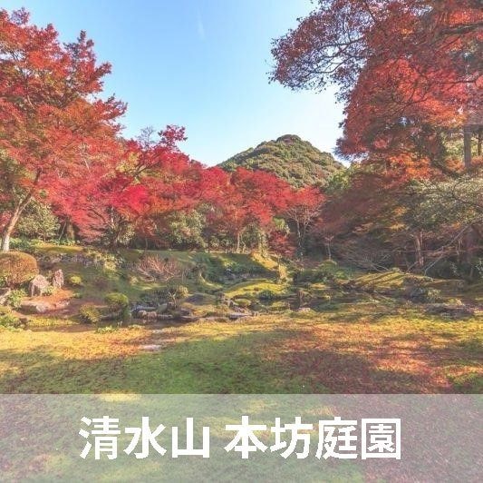 ニコニコグループ観光画像清水寺